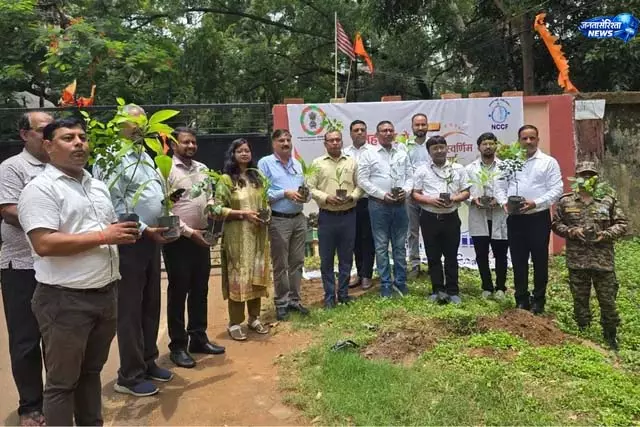 NCCF ने दिया स्वच्छ पर्यावरण का संदेश NCCF ने दिया स्वच्छ पर्यावरण का संदेश