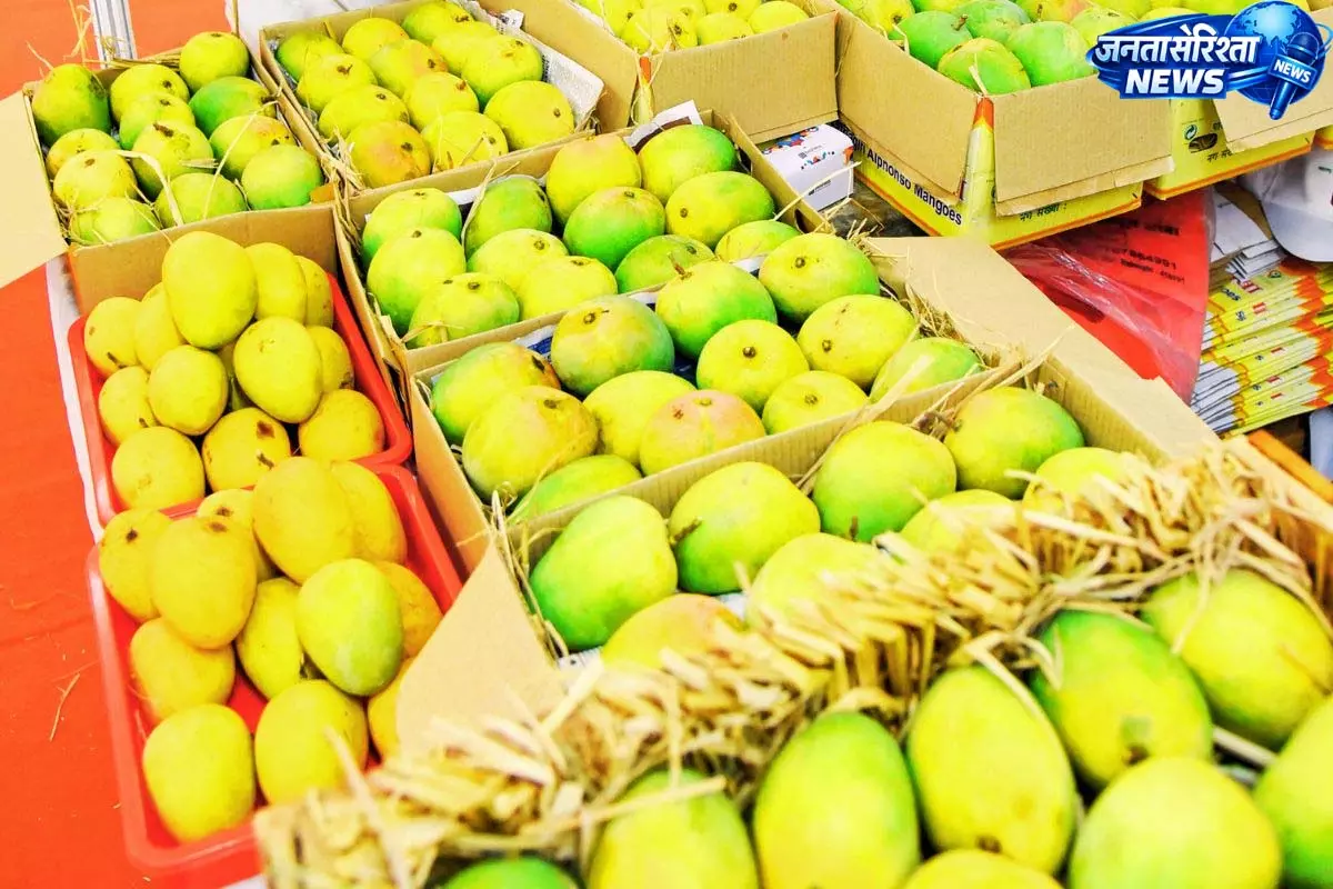 Mango डिप्लोमेसी से रिश्तों में नई परीक्षा Mango डिप्लोमेसी से रिश्तों में नई परीक्षा