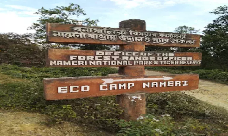 Assam: नामेरी टाइगर रिजर्व में बाघों की आबादी 3 से बढ़कर 12 हो गई Assam: नामेरी टाइगर रिजर्व में बाघों की आबादी 3 से बढ़कर 12 हो गई