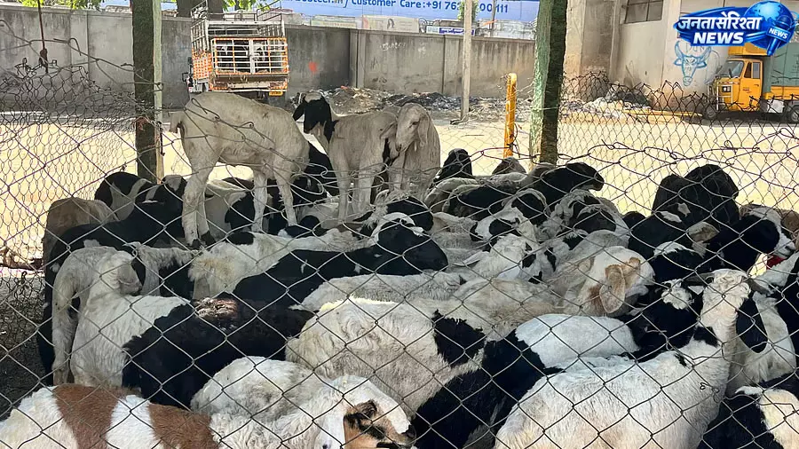 पंजाब ने हटाया 4% टैक्स, कश्मीर में मटन संकट समाप्त पंजाब ने हटाया 4% टैक्स, कश्मीर में मटन संकट समाप्त