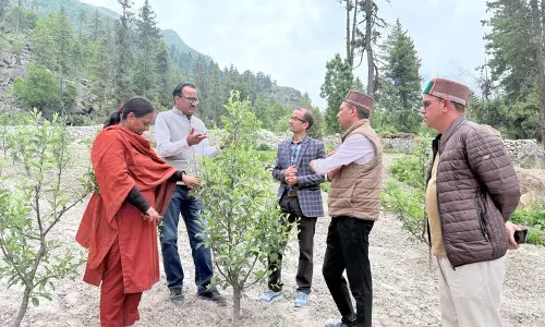 किन्नौर केवीके को कल्पा फार्म विकसित करने का निर्देश किन्नौर केवीके को कल्पा फार्म विकसित करने का निर्देश