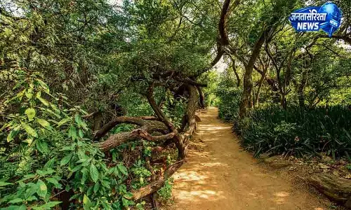 Delhi नरेला वनीकरण भूमि संरक्षित वन में बदल गई Delhi नरेला वनीकरण भूमि संरक्षित वन में बदल गई