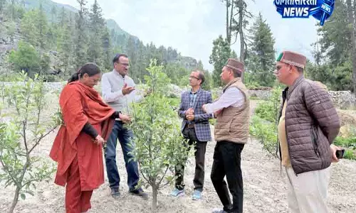 Solan कल्पा फार्म के विकास को लेकर निर्देश जारी Solan कल्पा फार्म के विकास को लेकर निर्देश जारी