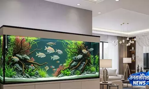 Experts ने बताए हेल्दी फिश के सीक्रेट्स Experts ने बताए हेल्दी फिश के सीक्रेट्स