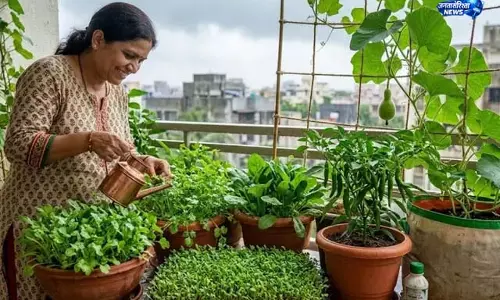 छत और बालकनी में उगने वाली 5 सब्जियां छत और बालकनी में उगने वाली 5 सब्जियां