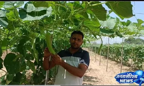कम लागत में ज्यादा Profit का गुरुमंत्र कम लागत में ज्यादा Profit का गुरुमंत्र