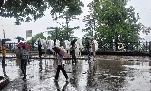 IMD के रेड अलर्ट के बीच BMC ने मुंबई के सभी स्कूलों और कॉलेजों में दोपहर की क्लास बंद कर दी IMD के रेड अलर्ट के बीच BMC ने मुंबई के सभी स्कूलों और कॉलेजों में दोपहर की क्लास बंद कर दी