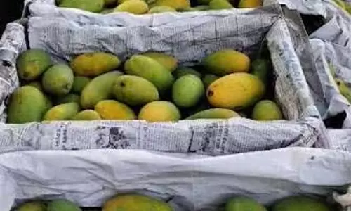 किसानों के लिए Lucknow में खास ट्रेनिंग अवसर
