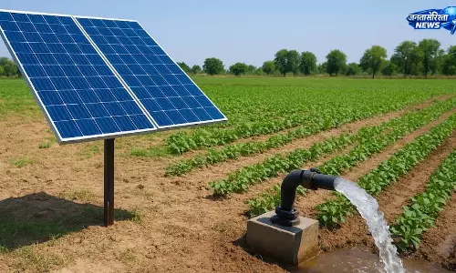 Solar sector की कंपनी को बड़ा प्रोजेक्ट मिला