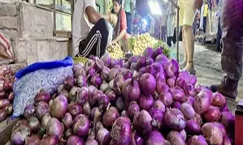 Onion किसानों की आय बढ़ाने के लिए सरकार ने उठाया कदम Onion किसानों की आय बढ़ाने के लिए सरकार ने उठाया कदम
