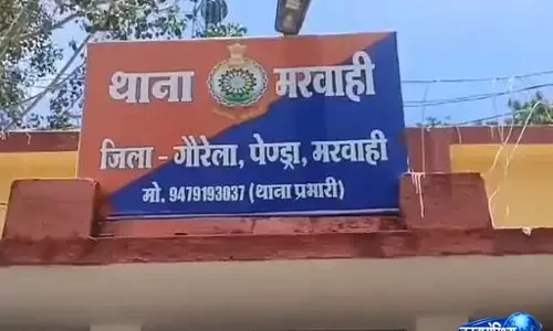 मरवाही में नवविवाहिता से मारपीट, पति समेत चार पर मामला दर्ज
