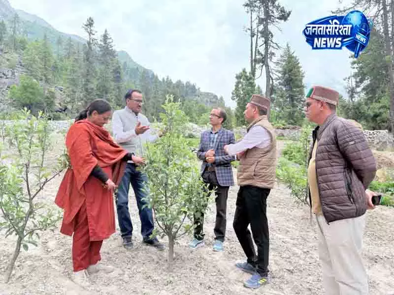 Solan कल्पा फार्म के विकास को लेकर निर्देश जारी Solan कल्पा फार्म के विकास को लेकर निर्देश जारी