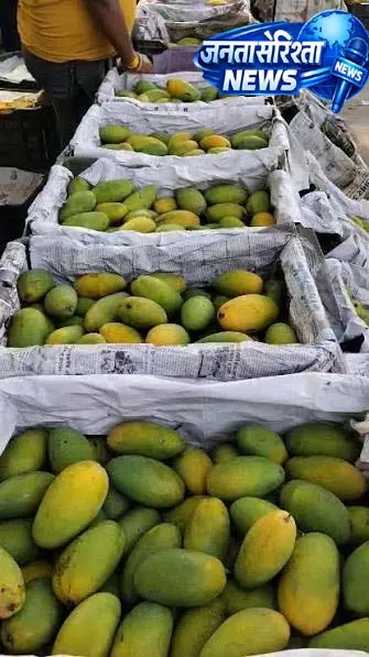 किसानों के लिए Lucknow में खास ट्रेनिंग अवसर किसानों के लिए Lucknow में खास ट्रेनिंग अवसर