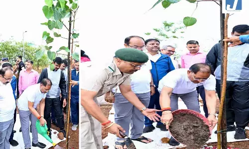 मुख्यमंत्री विष्णु देव साय ने एक पेड़ माँ के नाम अभियान के तहत किया पौधारोपण मुख्यमंत्री विष्णु देव साय ने एक पेड़ माँ के नाम अभियान के तहत किया पौधारोपण