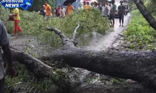 Odisha-आंध्र मार्ग पर पेड़ गिरने से घंटों जाम; कई इलाकों में बिजली बाधित
