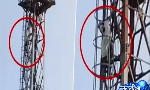 Video: रिस्की प्रपोज़ल की कोशिश नाकाम, टावर पर चढ़े बिहार के कपल को पुलिस ने उतारा Video: रिस्की प्रपोज़ल की कोशिश नाकाम, टावर पर चढ़े बिहार के कपल को पुलिस ने उतारा
