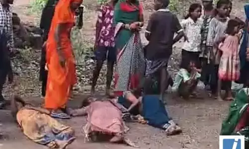 कोरबा में मजदूरों से भरी पिकअप हादसे का शिकार, मची चीख पुकार