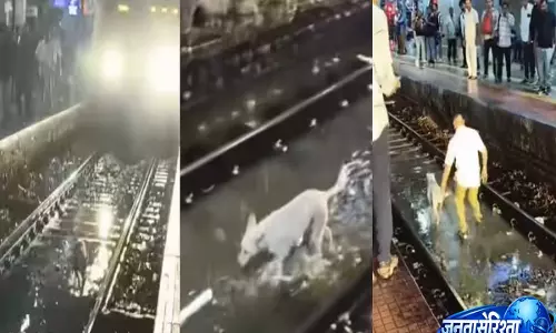 मुंबई लोकल के लोको पायलट की मानवता को सलाम, आवारा कुत्ते को बचाने के लिए बीच ट्रैक पर रोकी ट्रेन