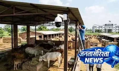 छुट्टा पशुओं से Farmers को मिलेगी राहत छुट्टा पशुओं से Farmers को मिलेगी राहत