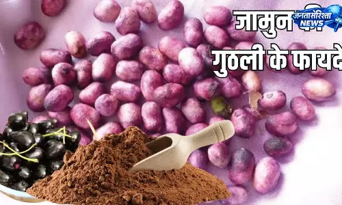 Jamun सीड्स से मिलते हैं कई स्वास्थ्य लाभ
