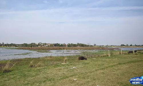 Lake के खत्म होते अस्तित्व ने बढ़ाई चिंता