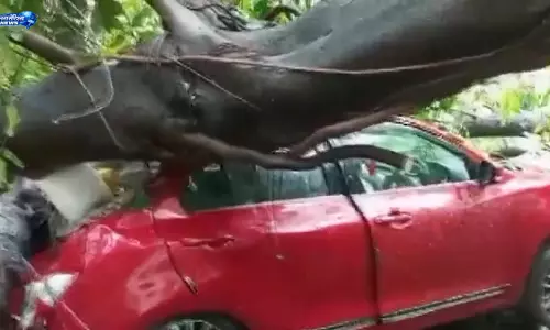 Mumbai : बांद्रा ईस्ट में भारी बारिश के बीच पेड़ गिरा, कई वाहन क्षतिग्रस्त Mumbai : बांद्रा ईस्ट में भारी बारिश के बीच पेड़ गिरा, कई वाहन क्षतिग्रस्त