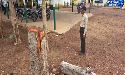 बालोद के बड़भूम स्कूल परिसर में 29 पेड़ों की अवैध कटाई बालोद के बड़भूम स्कूल परिसर में 29 पेड़ों की अवैध कटाई