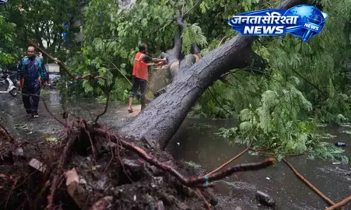 Mumbai में मॉनसून का कहर, पेड़ गिरने से एक शख्स की गई जान Mumbai में मॉनसून का कहर, पेड़ गिरने से एक शख्स की गई जान