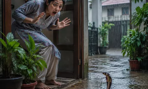 सांपों से सुरक्षा के लिए 4 खास पौधे, मानसून में फायदेमंद