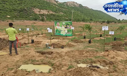 वन महोत्सव में उमड़ा जनसहभागिता का उत्साह, सोनबरसा-भैनापारा में हुआ व्यापक वृक्षारोपण वन महोत्सव में उमड़ा जनसहभागिता का उत्साह, सोनबरसा-भैनापारा में हुआ व्यापक वृक्षारोपण