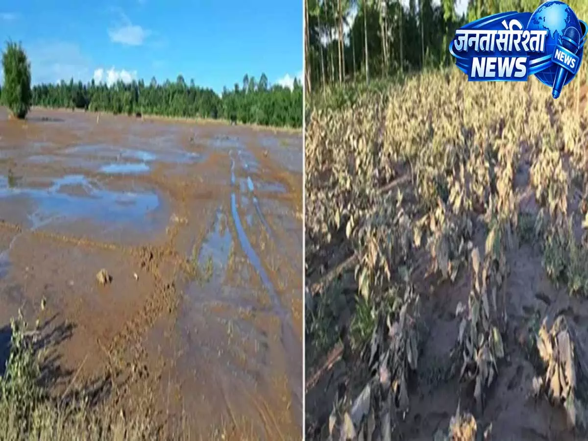 Ruksin: एरिंग ने बाढ़ प्रभावित पूर्वी सियांग के लिए एफडीआर फंड की मांग Ruksin: एरिंग ने बाढ़ प्रभावित पूर्वी सियांग के लिए एफडीआर फंड की मांग