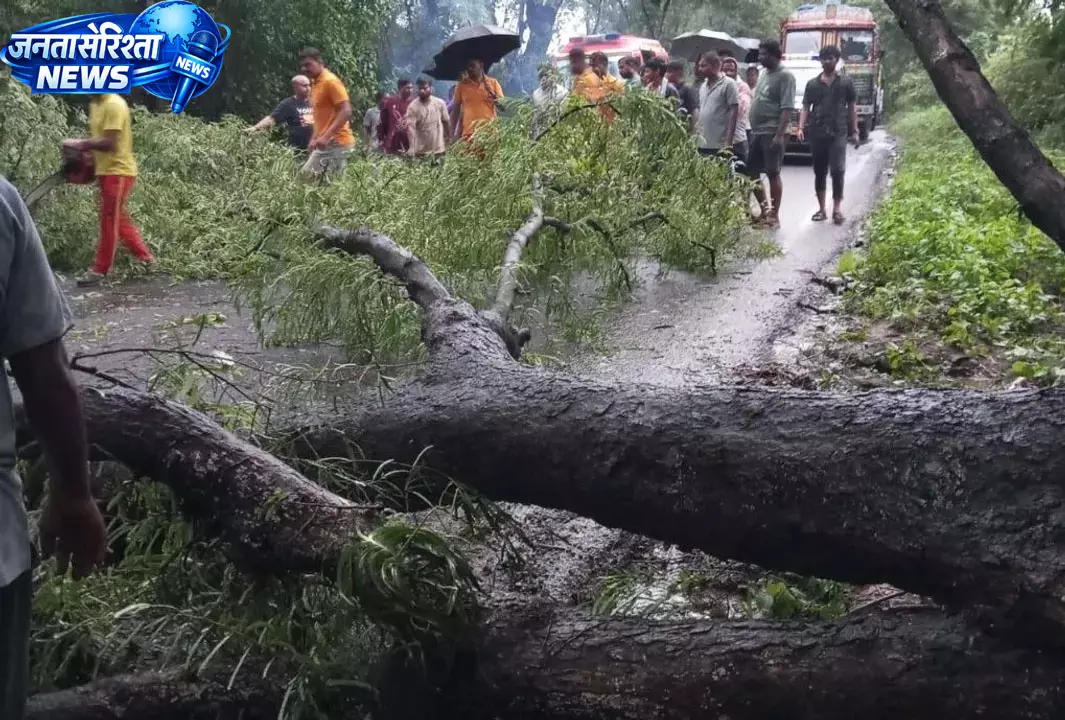 Odisha-आंध्र मार्ग पर पेड़ गिरने से घंटों जाम; कई इलाकों में बिजली बाधित Odisha-आंध्र मार्ग पर पेड़ गिरने से घंटों जाम; कई इलाकों में बिजली बाधित