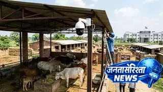 छुट्टा पशुओं से Farmers को मिलेगी राहत छुट्टा पशुओं से Farmers को मिलेगी राहत