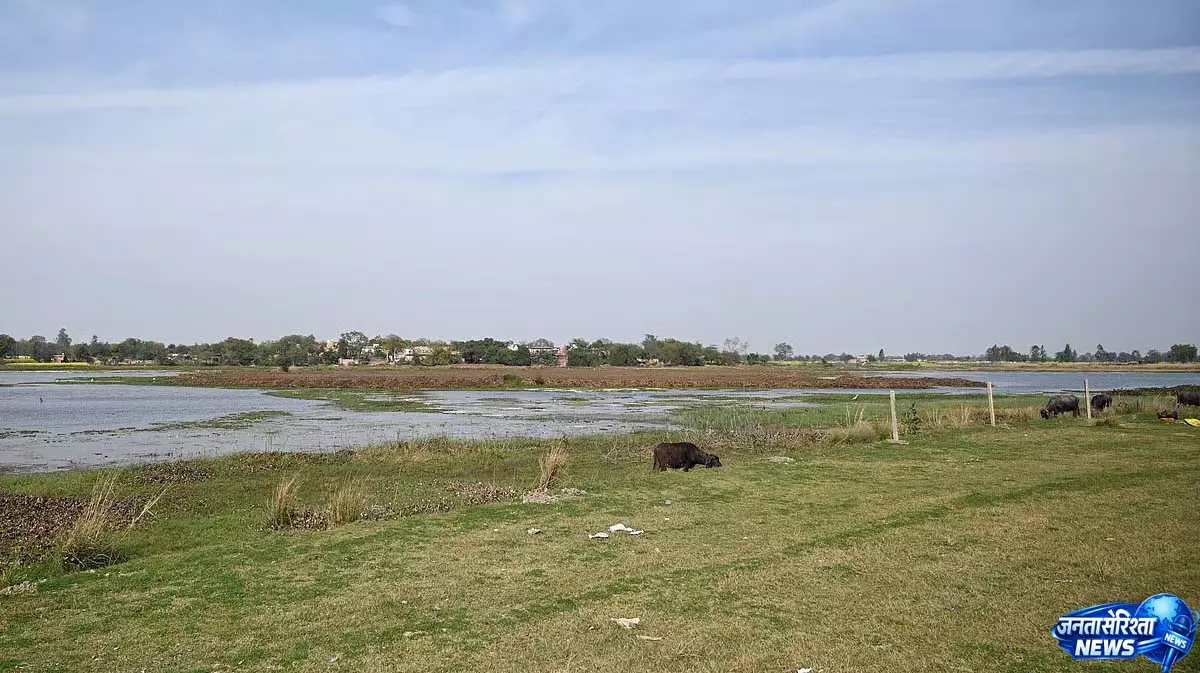 Lake के खत्म होते अस्तित्व ने बढ़ाई चिंता Lake के खत्म होते अस्तित्व ने बढ़ाई चिंता