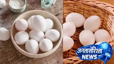 बिना तोड़े जानें अंडे की ताजगी का राज बिना तोड़े जानें अंडे की ताजगी का राज