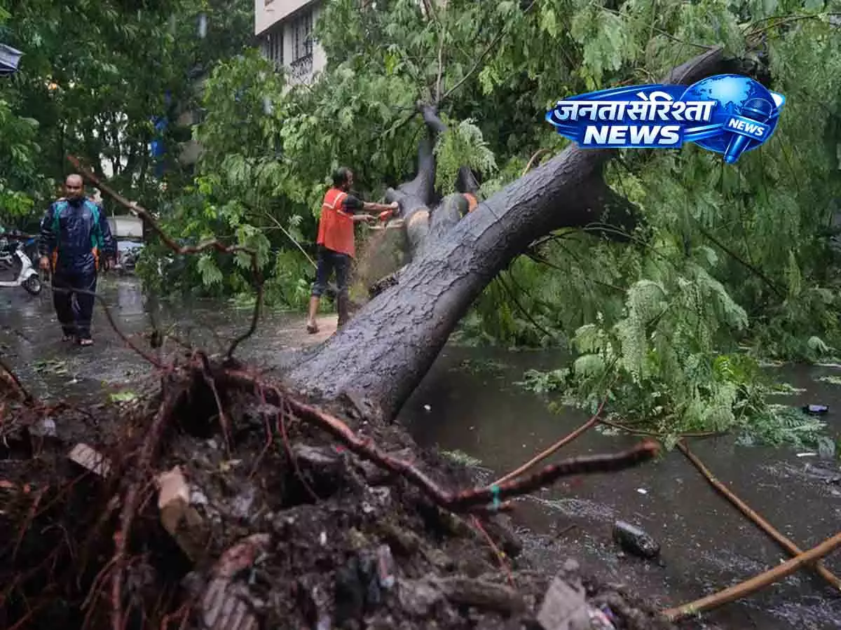 Mumbai में मॉनसून का कहर, पेड़ गिरने से एक शख्स की गई जान Mumbai में मॉनसून का कहर, पेड़ गिरने से एक शख्स की गई जान