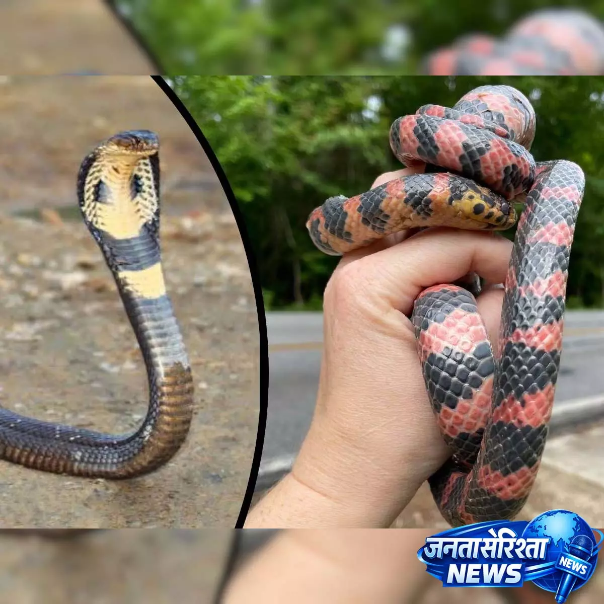 Person की अजीब हरकत से इलाके में हड़कंप Person की अजीब हरकत से इलाके में हड़कंप