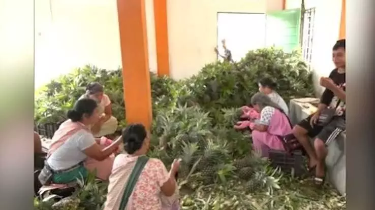 Meghalaya: राज्य के प्रीमियम एग्रो-प्रोडक्ट्स की वैश्विक ब्रांडिंग में जुटीं महिला किसान Meghalaya: राज्य के प्रीमियम एग्रो-प्रोडक्ट्स की वैश्विक ब्रांडिंग में जुटीं महिला किसान