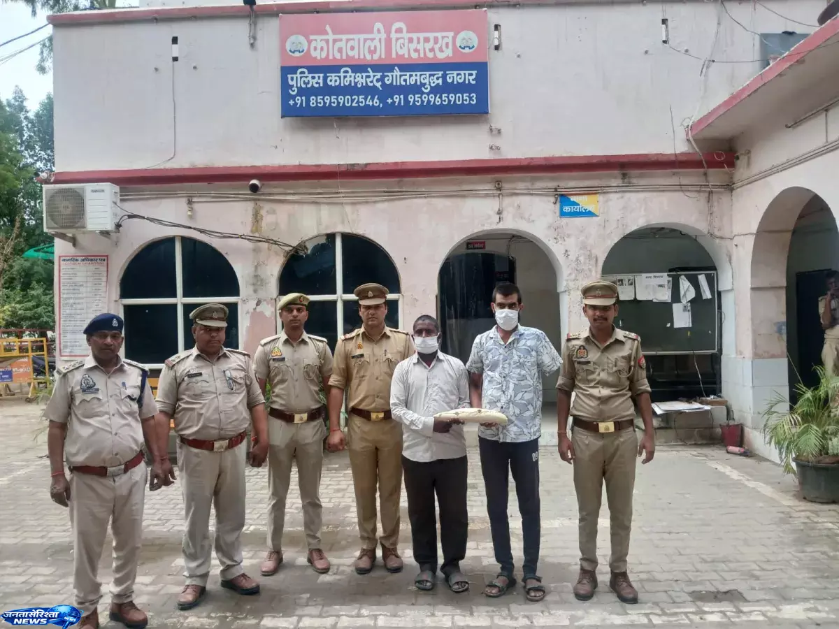 Gautam Buddha नगर में हाथी दांत तस्करी का खुलासा, पुलिस ने की गिरफ्तारी Gautam Buddha नगर में हाथी दांत तस्करी का खुलासा, पुलिस ने की गिरफ्तारी