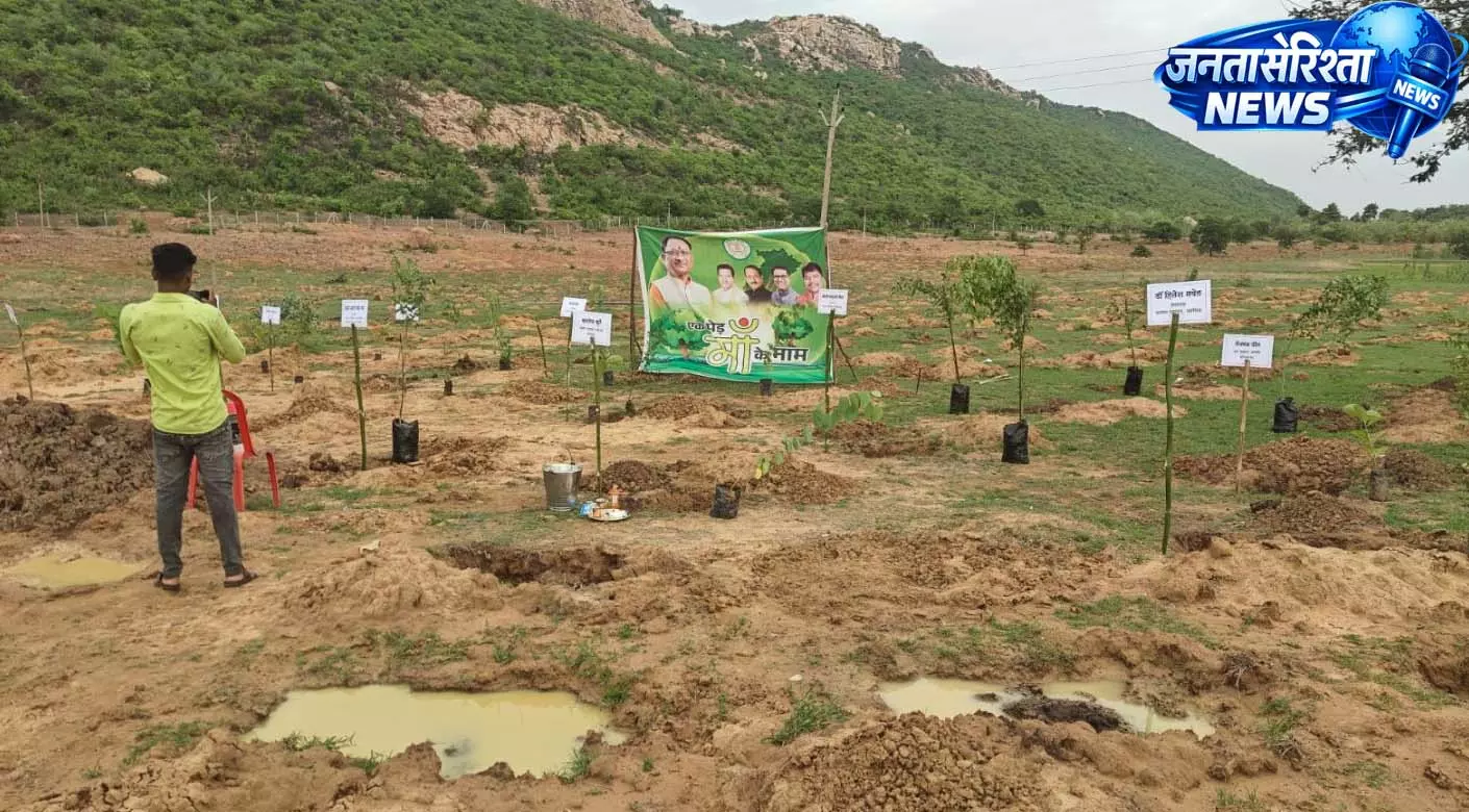 वन महोत्सव में उमड़ा जनसहभागिता का उत्साह, सोनबरसा-भैनापारा में हुआ व्यापक वृक्षारोपण वन महोत्सव में उमड़ा जनसहभागिता का उत्साह, सोनबरसा-भैनापारा में हुआ व्यापक वृक्षारोपण