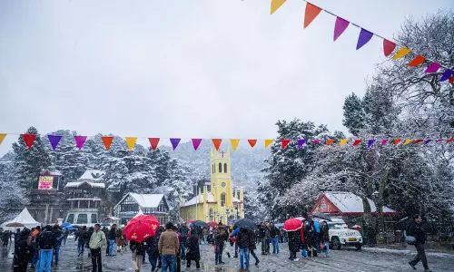 हिमाचल की पहाड़ियों में स्वर्ग की छिपी कीमत हिमाचल की पहाड़ियों में स्वर्ग की छिपी कीमत