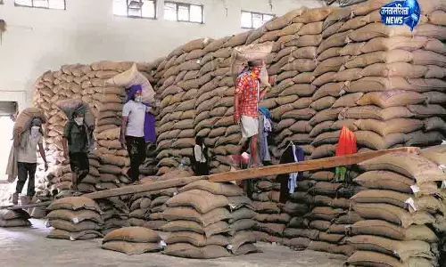 अनाज भंडारण की कमी से Punjab में चिंता बढ़ी अनाज भंडारण की कमी से Punjab में चिंता बढ़ी