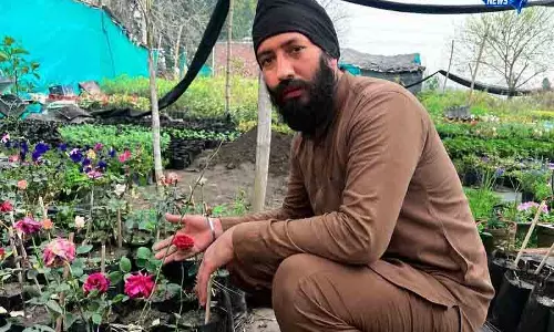 अमृतसर के जंडियाला में नर्सरी व्यवसाय की प्रेरक यात्रा अमृतसर के जंडियाला में नर्सरी व्यवसाय की प्रेरक यात्रा