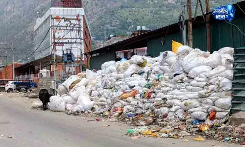 एनजीटी पैनल ने खोली Kullu की बर्बादी की पोल एनजीटी पैनल ने खोली Kullu की बर्बादी की पोल