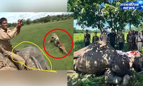 Assam : कुमकी हथिनी ‘जयमाला’ का निधन, 34 साल तक वन्यजीव संरक्षण में निभाई अहम भूमिका Assam : कुमकी हथिनी ‘जयमाला’ का निधन, 34 साल तक वन्यजीव संरक्षण में निभाई अहम भूमिका