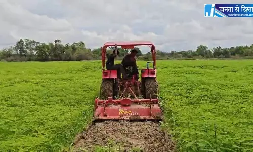 हरी खाद से संवर रही खेतों की सेहत, प्राकृतिक खेती की मिसाल बने किसान नरेंद्र सिंह हरी खाद से संवर रही खेतों की सेहत, प्राकृतिक खेती की मिसाल बने किसान नरेंद्र सिंह