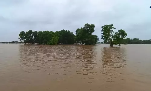 ओडिशा में बैतरणी नदी का जलस्तर बढ़ा ओडिशा में बैतरणी नदी का जलस्तर बढ़ा