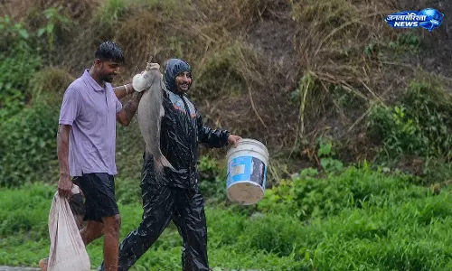 पुणे में भारी बारिश के बीच सड़क पर तैरती बड़ी मछली, वीडियो वायरल पुणे में भारी बारिश के बीच सड़क पर तैरती बड़ी मछली, वीडियो वायरल