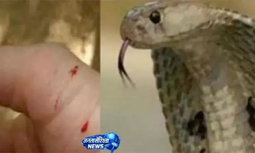 सर्पदंश से मौतों पर लगेगी लगाम, जीरो स्नेकबाइट डेथ के लिए बड़ी कार्य योजना तैयार