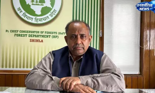 मानसून सीजन में 8 हजार हेक्टेयर भूमि पर पौधारोपण करेगा वन विभाग मानसून सीजन में 8 हजार हेक्टेयर भूमि पर पौधारोपण करेगा वन विभाग